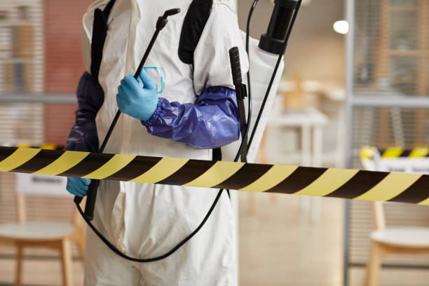 Professional Sewage Cleanup technician working in Westville, IL