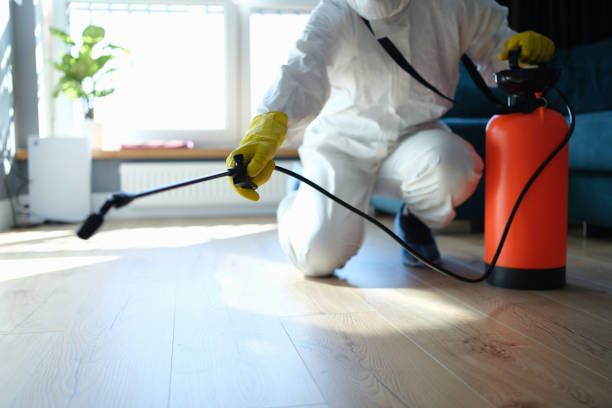 Trusted Sewage Cleanup service in Westville, IL - Four Month Blood Cleanse
